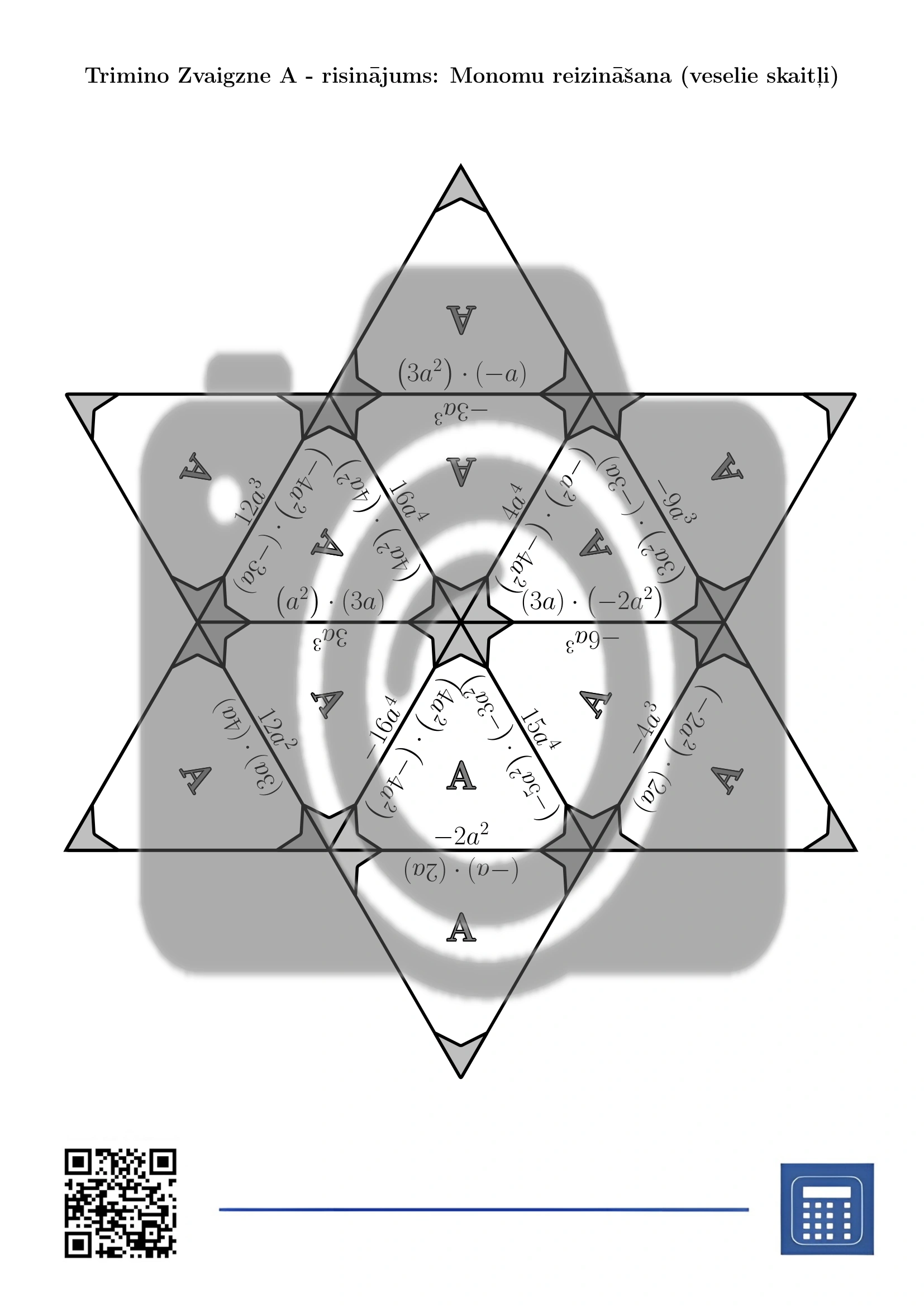 Trimino: Monomu reizināšana (veselie skaitļi) - Image 7